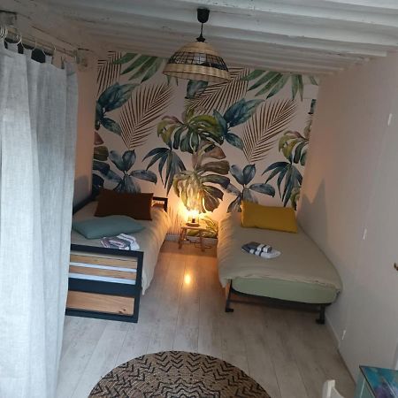 Le Logis De La Rue Des Arts Leilighet Blois Eksteriør bilde