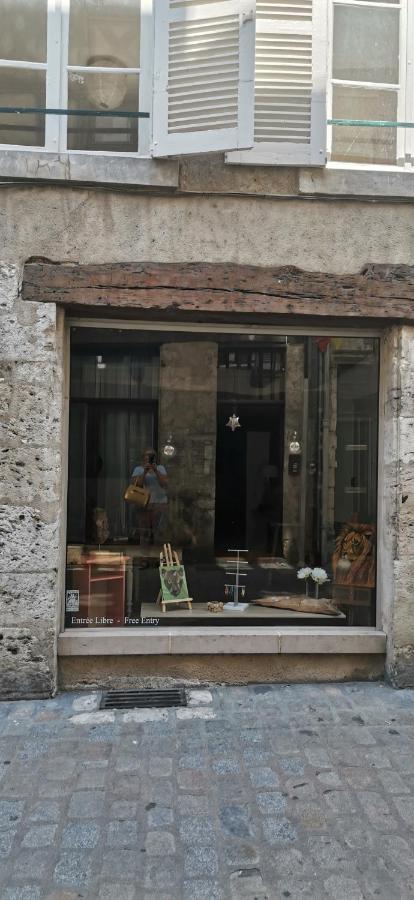 Le Logis De La Rue Des Arts Leilighet Blois Eksteriør bilde