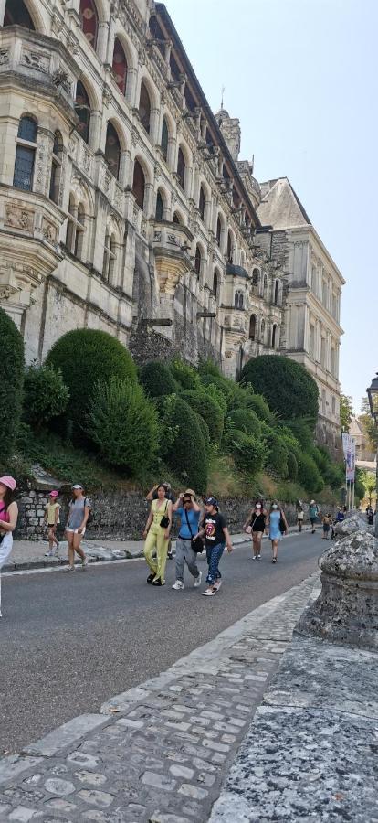 Le Logis De La Rue Des Arts Leilighet Blois Eksteriør bilde