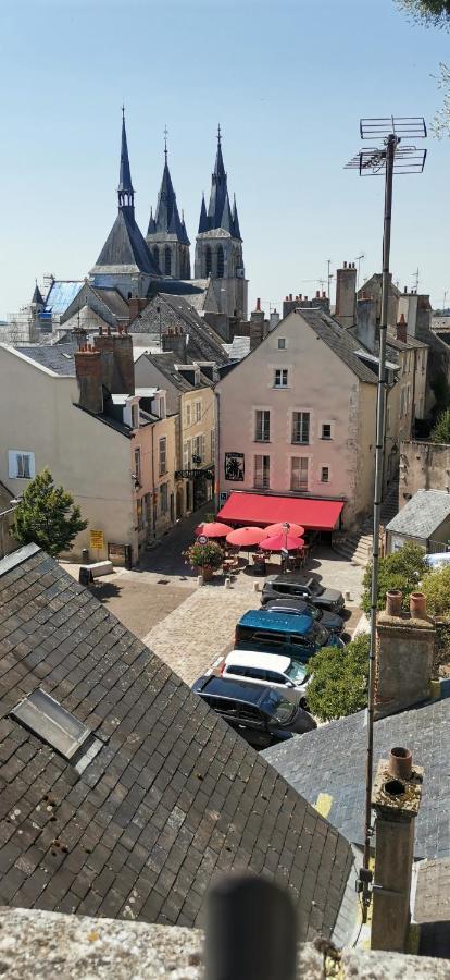 Le Logis De La Rue Des Arts Leilighet Blois Eksteriør bilde