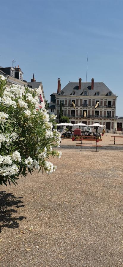 Le Logis De La Rue Des Arts Leilighet Blois Eksteriør bilde